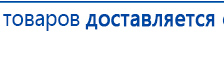СКЭНАР-1-НТ (исполнение 01 VO) Скэнар Мастер купить в Миассе, Аппараты Скэнар купить в Миассе, Скэнар официальный сайт - denasvertebra.ru