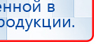 СКЭНАР-1-НТ (исполнение 02.2) Скэнар Оптима купить в Миассе, Аппараты Скэнар купить в Миассе, Скэнар официальный сайт - denasvertebra.ru